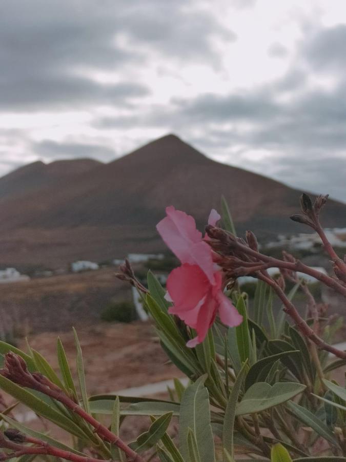 La Morreta Ii - Lanzarote Appartement *